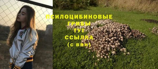 альфа пвп Киреевск