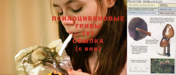 мяу мяу мука Киренск